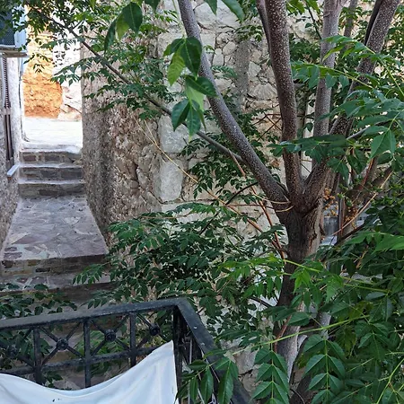 Apartamento Rosalia